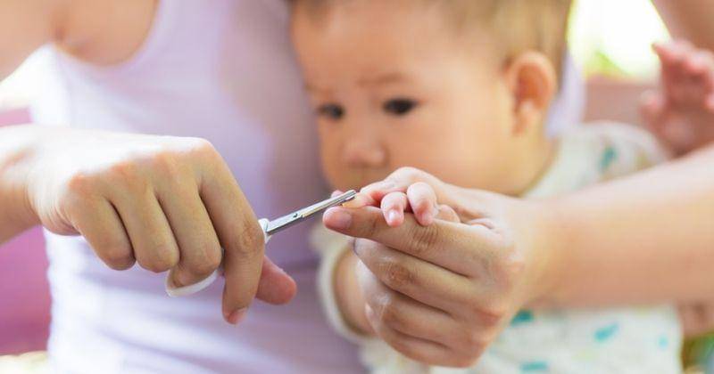 Shutterstock/Natee K Jindakum